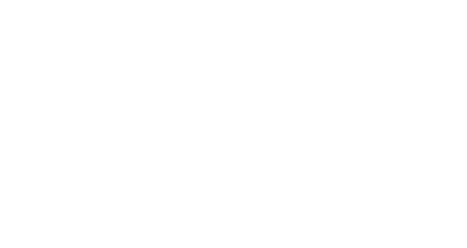 The Webpilots